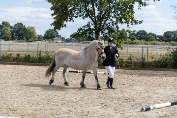 Bild 9 - Pony Akademie Turnier